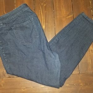 Torrid Jeans